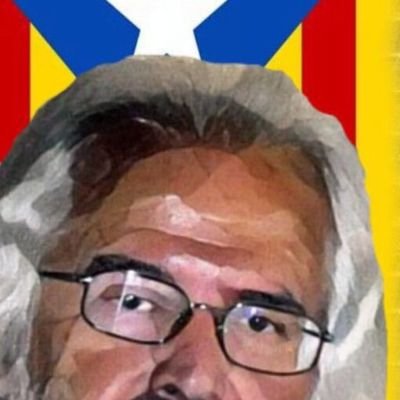 Gironí. Coordinador A.N.C. Cerdanya. Militan de Junts per CAT i Consell per la Republica