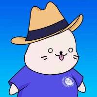 Crypto King♥️ Memecoin💛 DROP (@cryptocrusadi) 's Twitter Profile