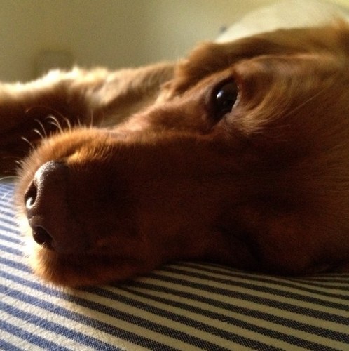 sirk_si's profile picture. menswear streetwear designer - sharing images that inspires me. all images posted are not all mine, unless stated.