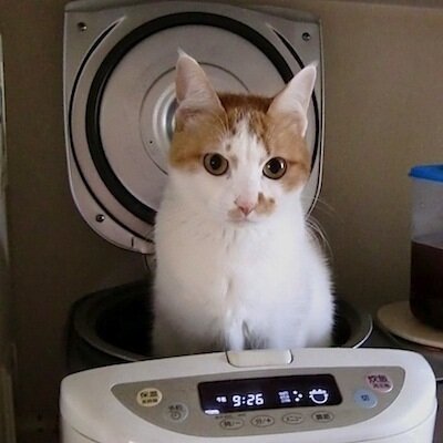 クリモフ どんな事情があったのかわからないけど これも福島の事故の関連死と言えるのでは 気の毒過ぎる 東電社員が会社で 飛び降り自殺 茨城 龍ケ崎市 Http T Co Hkulydttnr クリモフ どんな事情があったのかわからないけど これも福島の事故の関連死と言えるのでは 気の毒過ぎる 東電社員が会社で 飛び降り自殺 茨城 龍ケ崎市 Http T Co Hkulydttnr