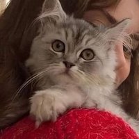 🇸🇦❤ مروة 🇸🇦❤ (@mar_w_a_h_) 's Twitter Profile