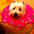 Pablo_fmdo's profile image