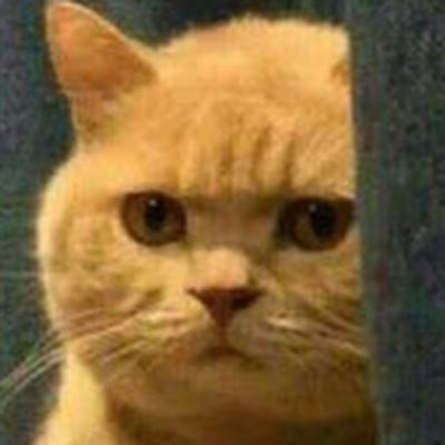 SimpleMr1284404's profile picture. 