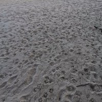 Bo Quoc Khong54 ❤️ Memecoin (@boquockhon99523) 's Twitter Profile