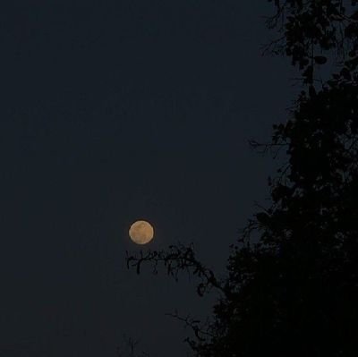 flawlesshitt's profile picture. always be grateful