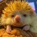 น้องไม่กินเผ็ด 🥵 (@nongmaiginped) Twitter profile photo น้องไม่กินเผ็ด 🥵 (@nongmaiginped) Twitter profile photo