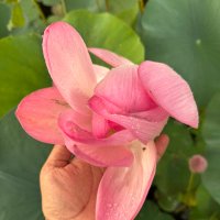 MaitriBodh Parivaar (@maitribodh) 's Twitter Profile