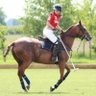 BenevolentBets's profile picture. All things golf, polo & racing
Shares in Killybegs Jet Lady