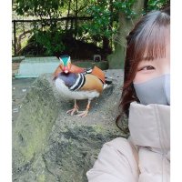 マナミ(@seka_mana2007) 's Twitter Profile Photo