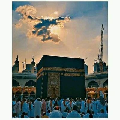 UmarSaud14's profile picture. 