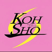 高昭牧場(@Koushou_F) 's Twitter Profile Photo