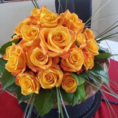 Oma_Fuxx's profile picture. Die Note der vollkommenen Persönlichkeit ist nicht die Rebellion, sondern die des Friedens.