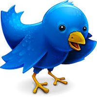 Yadi❤️ Memecoin (@priyadi396) 's Twitter Profile