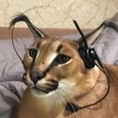 cloutdrake (@jachuzzzt) 's Twitter Profile