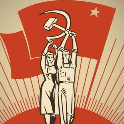 day_rdgb's profile picture. 