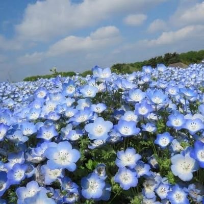 二児の母。娘は中学受験を終え地元中学へ。公立中高一貫校へ通う高二息子は部活の毎日。日々の愚痴を呟きつつ受験の日まで力尽きないことを祈ります😓
よろしくお願いします✨