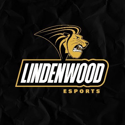 Est 2020 | Home of the @LU_Lions Collegiate Esports Program | St. Charles MO | @NACEsports, @MidwestR6 | Dm Us or Email esports@lindenwood.edu for Inquiries