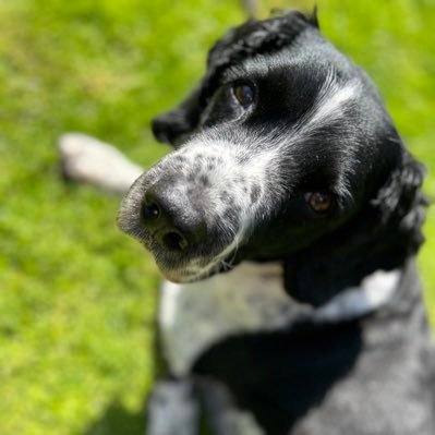 godwin37758's profile picture. 