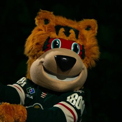 Hello! I'm Nordy, the MN Wild's very own mascot! Strong salad. Really nice (mostly). Athlete. Not a request line. Send me a email: nordy@wild.com