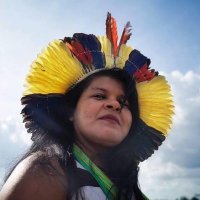 Sonia Guajajara (@guajajarasonia) 's Twitter Profile