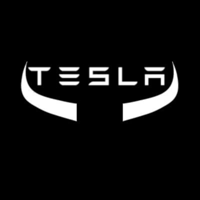 💯 net worth invested in Tesla, FSD Beta Tester