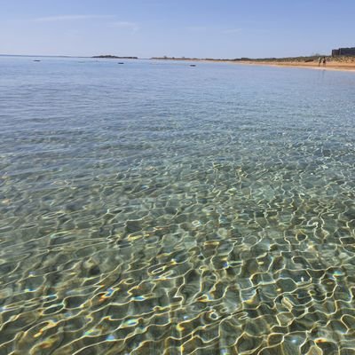 onur_ekdik's profile picture. 