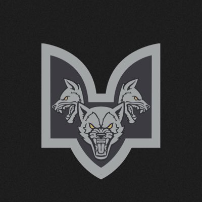 🐺 Окремий 108 батальйон «Вовки Да Вінчі» ЗСУ. Вже 10 років нищимо російського окупанта. ◾️Долучайся до Вовків ⬇️