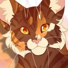 🇳🇱 | 🪷 She/her | 27 y/o | Artist | Mostly cats -- ☄️ If I were an astronaut, I'd speak to satellites