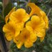 @gnMIBUa1TzJXg5G