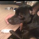 Dennis Hutt - @DDHutter - Twitter