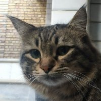 fa (✸,✸) | (Ø,G) (@famed456) 's Twitter Profile Photo fa (✸,✸) | (Ø,G) (@famed456) 's Twitter Profile Photo