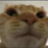 Lolkis (@lolkis9) 's Twitter Profile Photo Lolkis (@lolkis9) 's Twitter Profile Photo