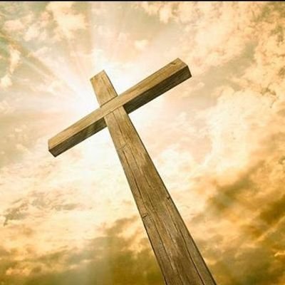 candamilpaola's profile picture. Comunicadora Social