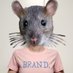 4ʳᵃᵗ (Tcest) (@that_rat_furry) Twitter profile photo 4ʳᵃᵗ (Tcest) (@that_rat_furry) Twitter profile photo