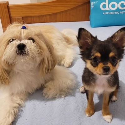 matias_guga's profile picture. eu e eu mesmo