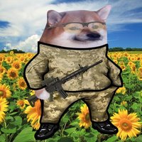Kastus 👊🇺🇸🔥 🇺🇦🇨🇦🇬🇱🇪🇺🇨🇭 (@hvcddhk) 's Twitter Profile Photo Kastus 👊🇺🇸🔥 🇺🇦🇨🇦🇬🇱🇪🇺🇨🇭 (@hvcddhk) 's Twitter Profile Photo