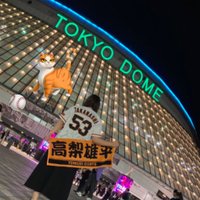 まきんこ。 (@g_mknk) 's Twitter Profile