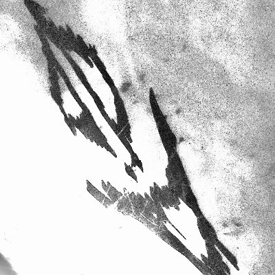 Shanepashe's profile picture. Live Musician