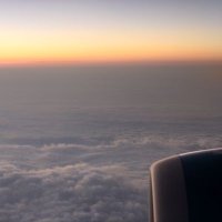 やまたん (@dmdmdm0517) 's Twitter Profile