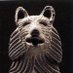 Old Man Coyote (@_hungrycoyote_) Twitter profile photo Old Man Coyote (@_hungrycoyote_) Twitter profile photo