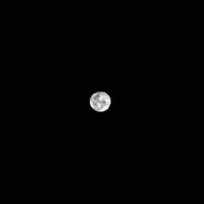 a_mgsh_'s profile picture. I am me, you are you.