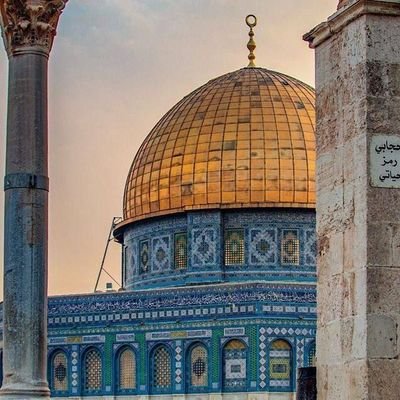 AseelEm25336156's profile picture. 📍إبريلية في الواحد وعشرين من عمرها🦋💙
 فلسطينية✌🇵🇸
ﻭﺭﻭﺣﻲ  غزة
ﻭﺃﺭﺿـﻲ ... يبنا
ﻭﺍﻧﺘﻤﺎﺋﻲ ﻭﻟﻬﺠــﺘﻲ
فلسطينــــــــــــــــي💪♥️