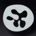 neutrophil2024 (@neutrophil2024) Twitter profile photo neutrophil2024 (@neutrophil2024) Twitter profile photo