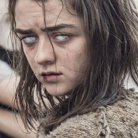 aryastark117 (@aryastark1172) 's Twitter Profile Photo aryastark117 (@aryastark1172) 's Twitter Profile Photo