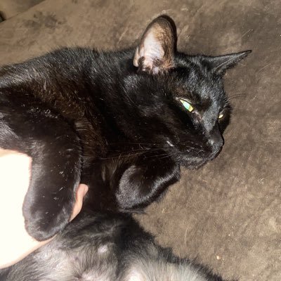 hailey77541865's profile picture. status; popping pussy at the club but sober