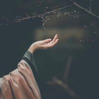 _ ا̍ﻻ̍مۭــٰٱ̍نۨــي ✨ (@am_403) 's Twitter Profile Photo