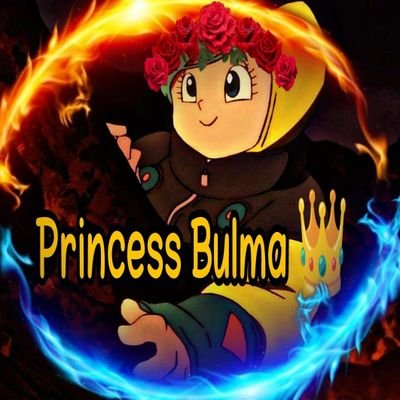 princess Bulma_برنسيس بولما❤️🌸さんのプロフィール画像