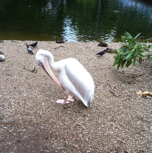 marcharris21's profile picture. 