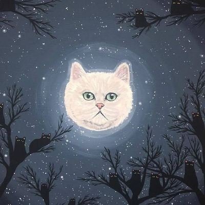 Quimina125713's profile picture. 