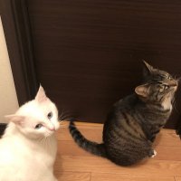 A13X (@a13x_4793_3654) Twitter profile photo